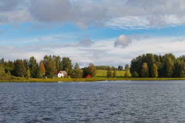 Ormandaki ve çayırlardaki göl. Bulutlu bir gün.