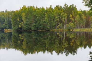 Vahşi bir göl üzerindeki kozalaklı ormanın yansımaları, sakin bulutlu bir gün.