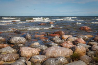 Baltık Denizi 'nin kayalık kıyıları taşlarla dolu. Taş dokuları.