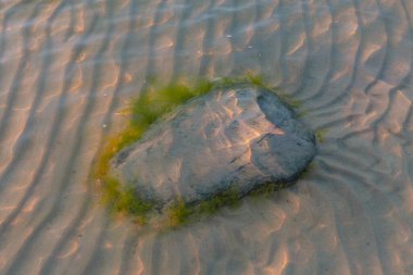 Su altında yosunlu taş ve dalgalı güneş ışığı yansımaları.