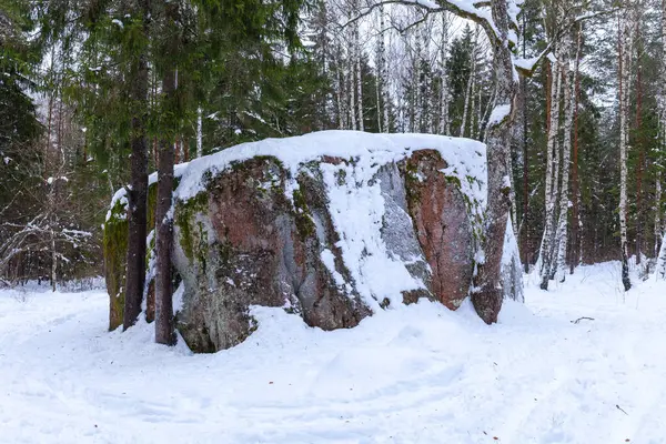 stock image The king of Estonian boulders, Pahkla Suurkivi, Estonia. Winter season.