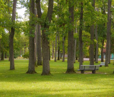 sessiz bir parkta bankta