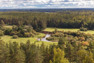 Nehrin yeşil orman ovasındaki görüntüsü..