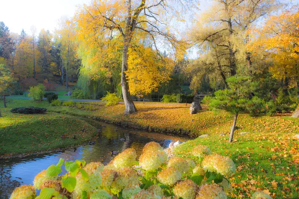 Autumn Foliage Dreamy Orton Filter Japanese Garden Kadriorg Park Tallinn — Stock Photo, Image