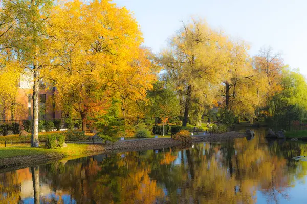 Rüya gibi bir filtresi olan sonbahar yaprakları. Kadriorg parkındaki Japon bahçesi. Tallinn, Estonya.