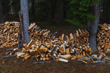 Ormana yakın köyde yakacak odun yığınları