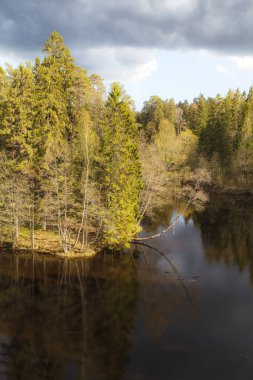 Ormanın göldeki yansımaları. Gün batımı zamanı.