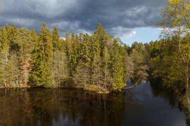 Ormanın göldeki yansımaları. Gün batımı zamanı.