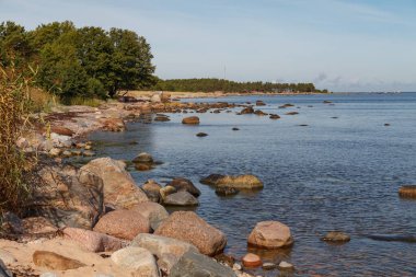 Açık yaz gününde Finlandiya Körfezi sahilinde granit taşlar