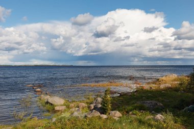 Estonya 'da Baltık Denizi kıyısında. Tipik Baltık deniz manzarası güneşli bir günde Gökyüzünde parlak bulutlar