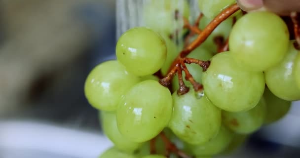 Close Widok Mycia Świeżych Winogron Slow Motion Shot — Wideo stockowe