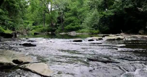Eau Courante Tinker Creek Dans Ohio Tir Ralenti — Video