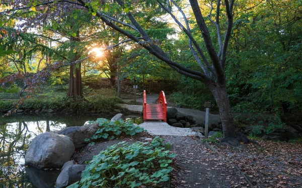 Rote Brücke Über Den Bach Den Japanischen Gärten Von Cranbrook — Stockfoto