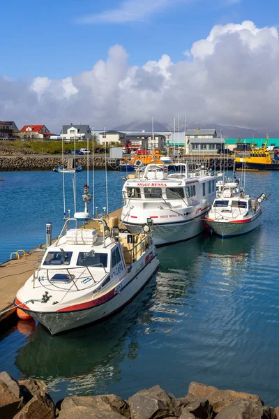 Гофн Ісландія Червня 2021 Кілька Рибальських Човнів Суден Гавані Головна — стокове фото