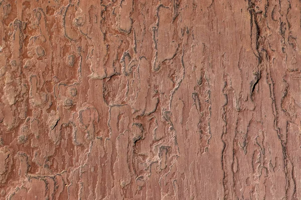 Close View Texture Red Sandstone Background Use — Stock Photo, Image