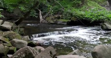Ohio Tinkers Deresi, Cuyahoga Vadisi Ulusal Parkı 'ndaki Tinker Deresi' ne küçük bir su birikintisi düşüyor..