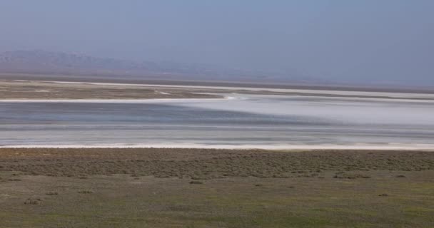 加利福尼亚Carrizo Plain国家纪念碑的Soda湖 — 图库视频影像