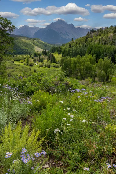 位于大陆分水岭的风景山与科罗拉多州里奇韦附近的风景路7号的风景分道扬镳 — 图库照片