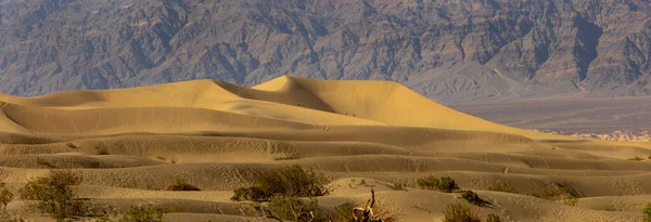 stock image Panoramic view of Mesquite Flat Sand Dunes in Death Valley national park.