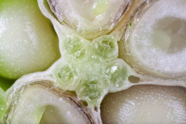 Extreme close up shot of okra cut section to show in side details.