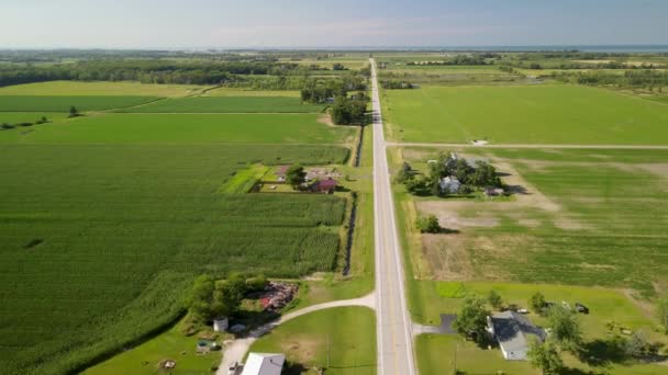 Letecký Pohled Svěží Zelenou Zemědělskou Krajinu Ohiu Usa — Stock video