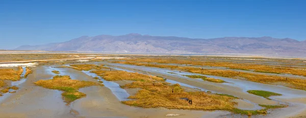 Panoramic View Owens Lake Alkali Lake California — Stock Photo, Image