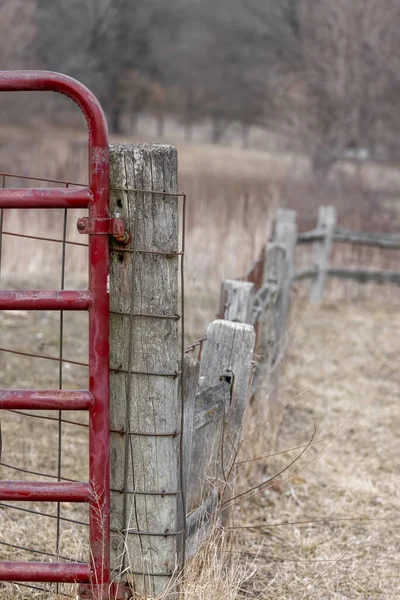 Közelkép Kerítésről Farm Közepén — Stock Fotó