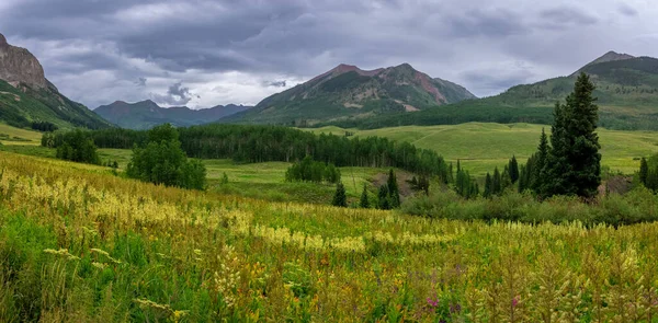 Panoramiczny Widok Polną Łąkę Malowniczej Dolinie Niedaleko Crested Butte Kolorado — Zdjęcie stockowe