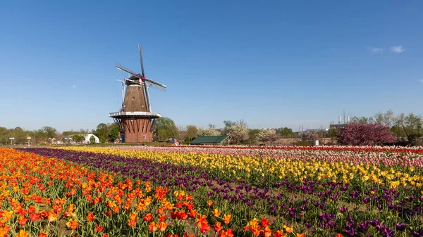 美国密歇根州荷兰 2022年5月13日 历史上250年的荷兰风格小型风车 位于密歇根州荷兰的风车岛花园 — 图库照片
