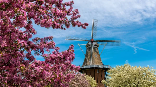 春季密歇根州荷兰风车岛花园的历史风车 — 图库照片