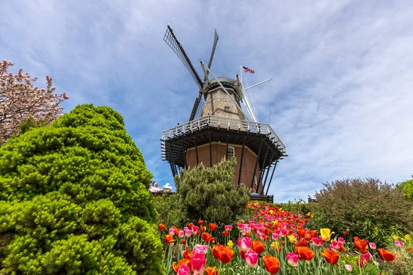 春季密歇根州荷兰风车岛花园的历史风车 — 图库照片