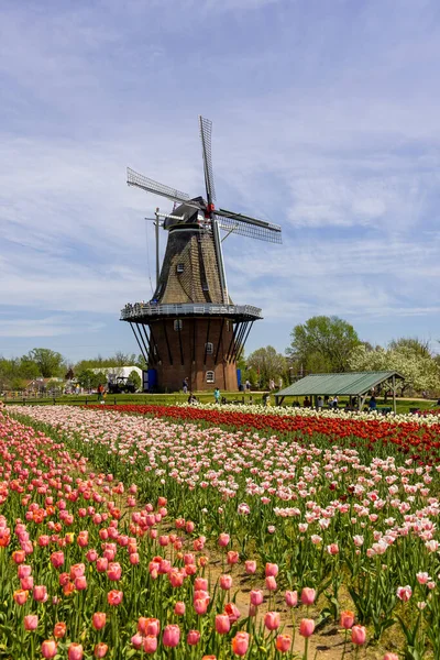 美国密歇根州荷兰 2022年5月13日 历史上250年的荷兰风格小型风车 位于密歇根州荷兰的风车岛花园 — 图库照片