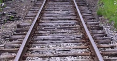 Ohio kırsalındaki eski tren rayları yaz zamanı.