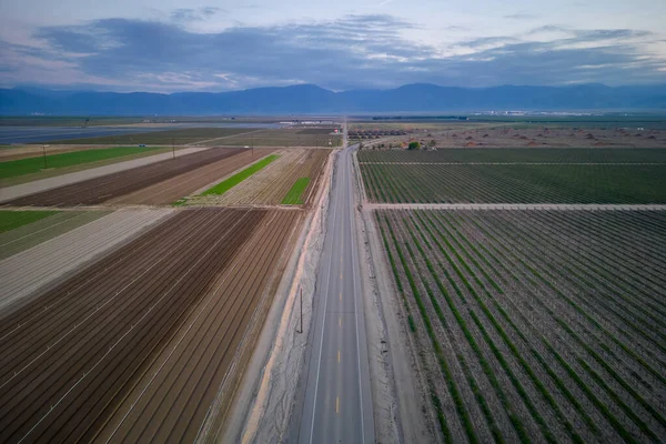 Mezőgazdasági Földeken Szőlőültetvényeken Olívaültetvényeken Áthaladó Kaliforniában Bakersfield Közelében — Stock Fotó