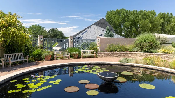Denver Colorado Julho 2021 Lagoa Com Vagens Lírio Jardins Botânicos — Fotografia de Stock