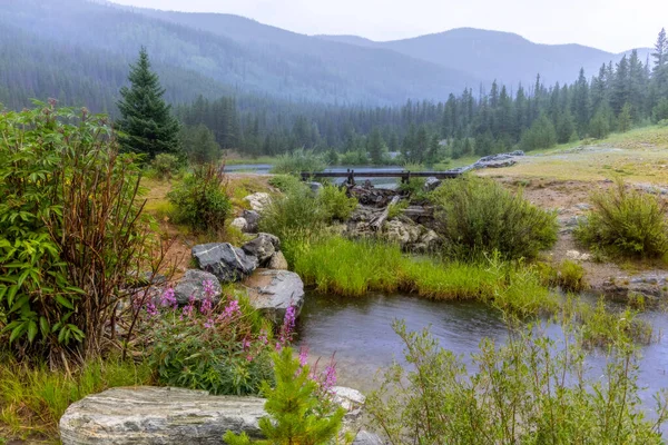 Mały Most Nad Potokiem Deszczowy Dzień Malowniczym Krajobrazie Kolorado — Zdjęcie stockowe