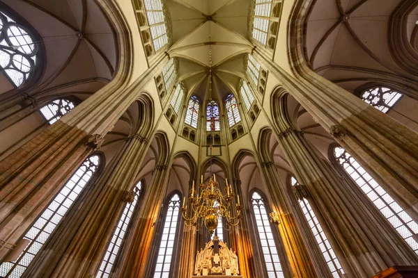 Utrecht Holandia Maj 2023 Wnętrze Zabytkowego Domu Kirk Katedra Marcina — Zdjęcie stockowe