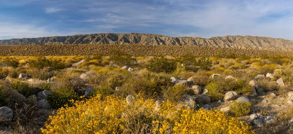 Scénická Krajina Kopců Divoké Květy Oblasti Mission Creek Jižní Kalifornii — Stock fotografie