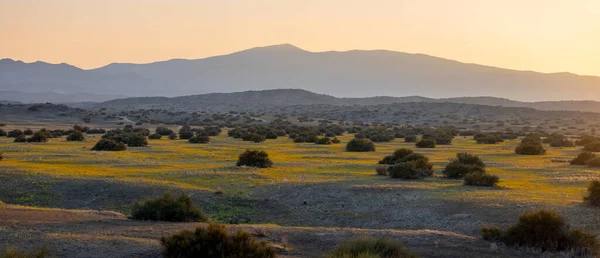 Scenic Landscape Carrizo Plains Southern California Twilight — Stock Photo, Image