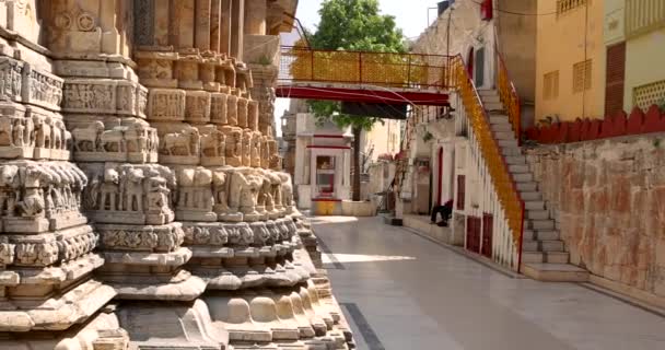 Подробная Сложная Архитектура Исторического Храма Джайн Ранакпуре Раджастхан Индия Построен — стоковое видео