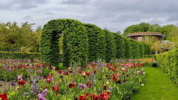 Giardini Panoramici Keukenhof Lisse Paesi Bassi — Foto Stock