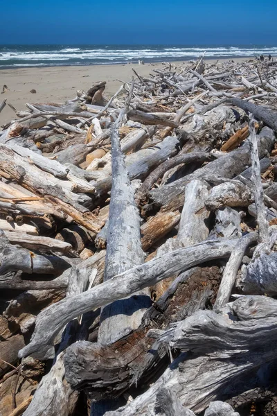 Oregon Kıyısı Boyunca Ölü Ağaçlar Sürüklenen Dallar — Stok fotoğraf
