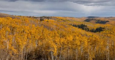 Utah 'ta sonbaharın en yoğun olduğu dönemde Monte Cristo' nun panoramik manzarası.