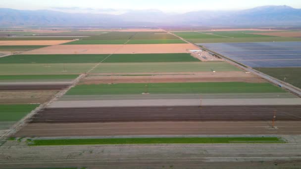 Flygfoto Över Vidsträckta Fält Med Olika Färgfläckar Nära Bakersfield Kalifornien — Stockvideo