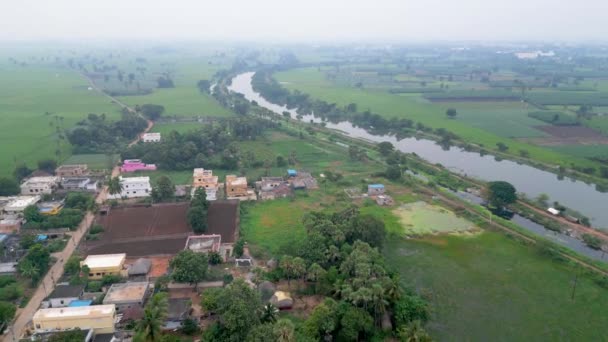 印度Guntur区Tenali镇附近的Kolakalur村被茂密的绿色稻田环绕的空中景观 — 图库视频影像