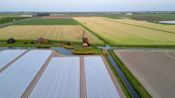 Letecký Pohled Typický Holandský Větrný Mlýn Uprostřed Zemědělské Půdy Severním — Stock video