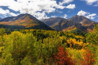 Utah 'taki Timpanogos Dağı manzarası sonbahar zamanı parlak yeşilliklerle doludur..