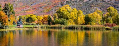 Utah 'taki Wasatch dağ parkındaki renkli sonbahar ağaçlarıyla manzaralı dağ manzarası..