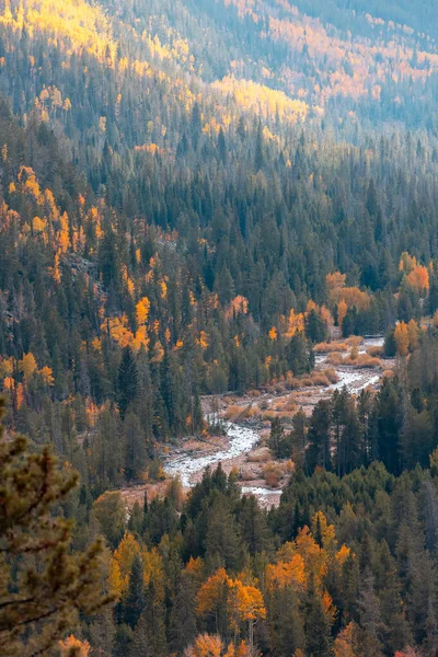 Мальовничий Річковий Пейзаж Прово Горах Васач Восени — стокове фото