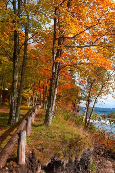 Árvores Coloridas Outono Longo Lago Superior Litoral Michigan Península Superior — Fotografia de Stock